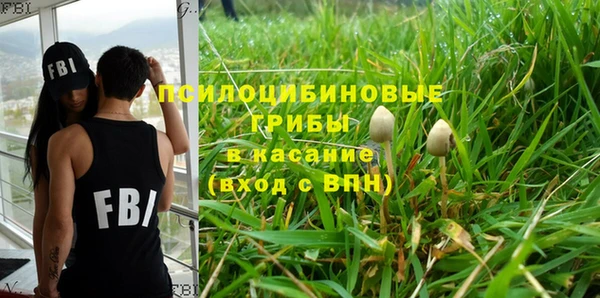 дмт Лабытнанги