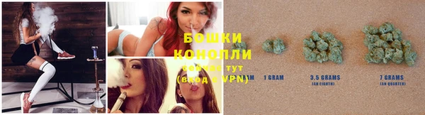 гашик Лагань