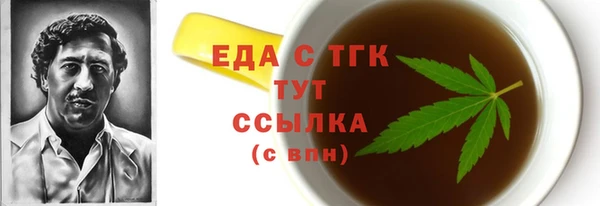 хмурый Магас