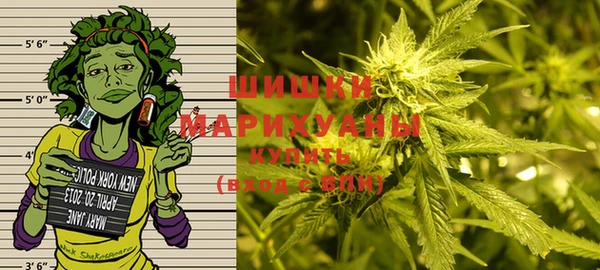 дмт Лабытнанги